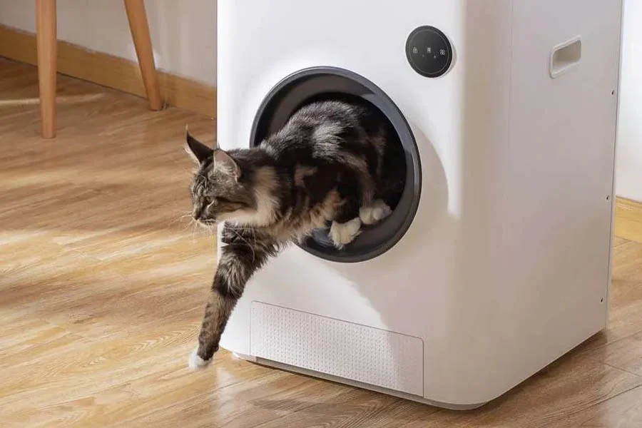 auto scooping litter box