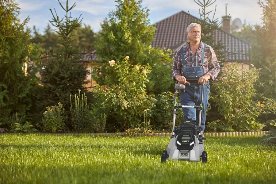 lawn mower for small lawns