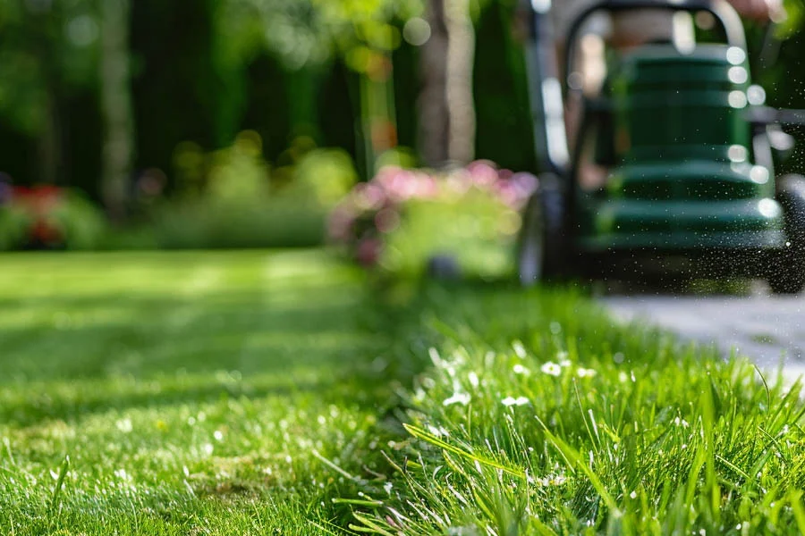 lawn mowing machine